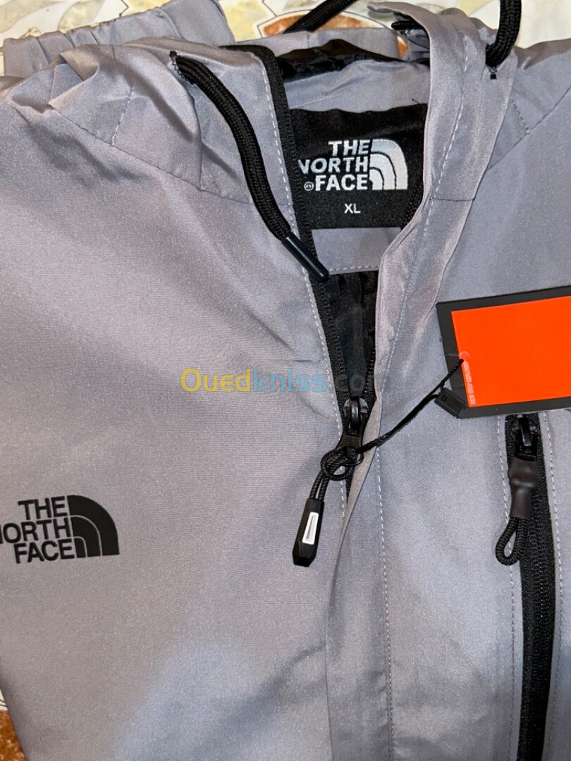 Veste the north face