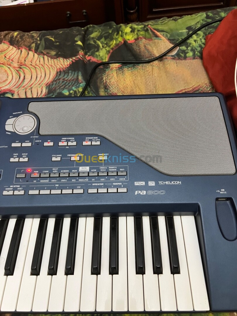 Korg pa 800