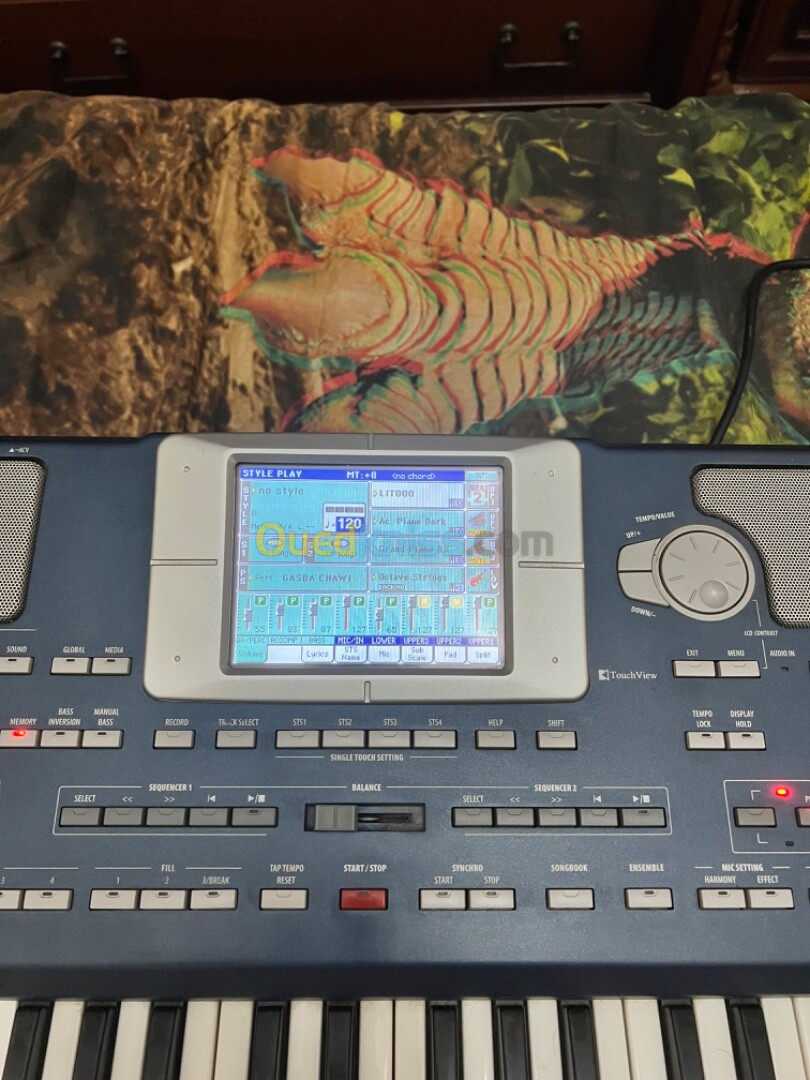 Korg pa 800