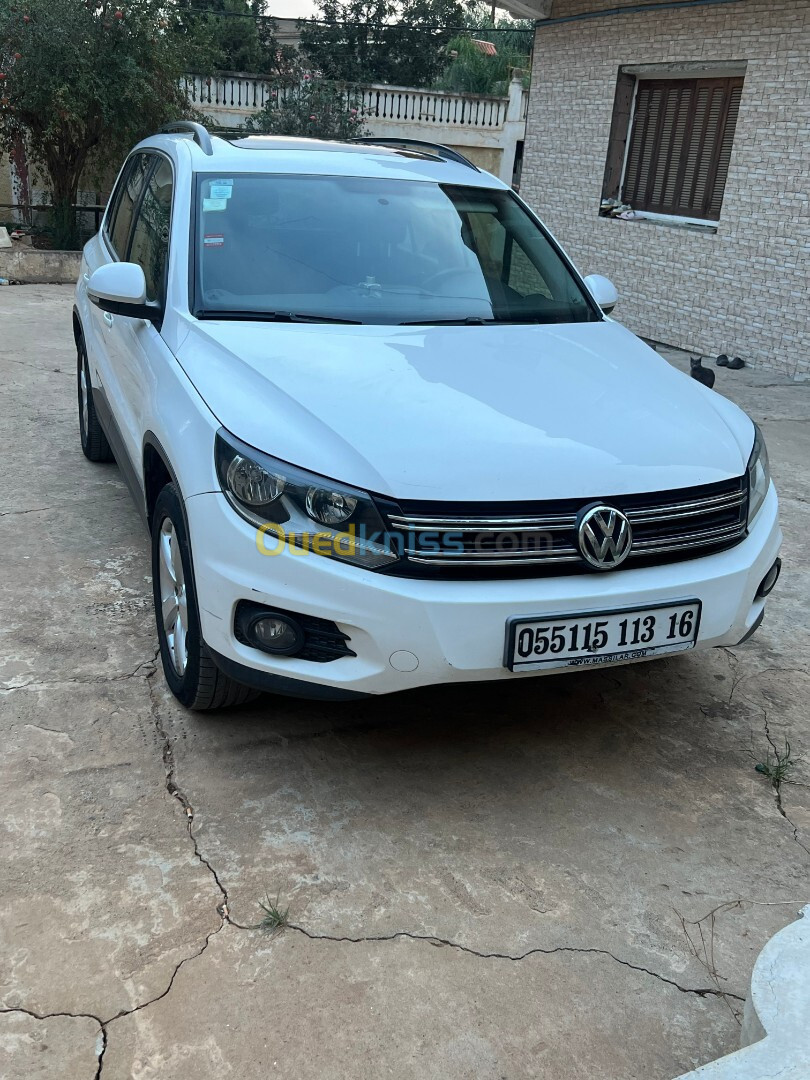 Volkswagen Tiguan 2013 Style