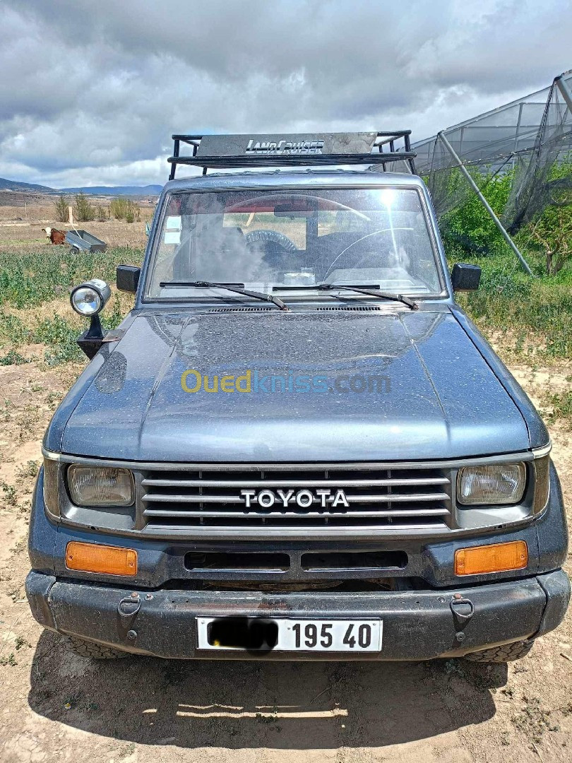 Toyota Land Cruiser 1995 Land Cruiser