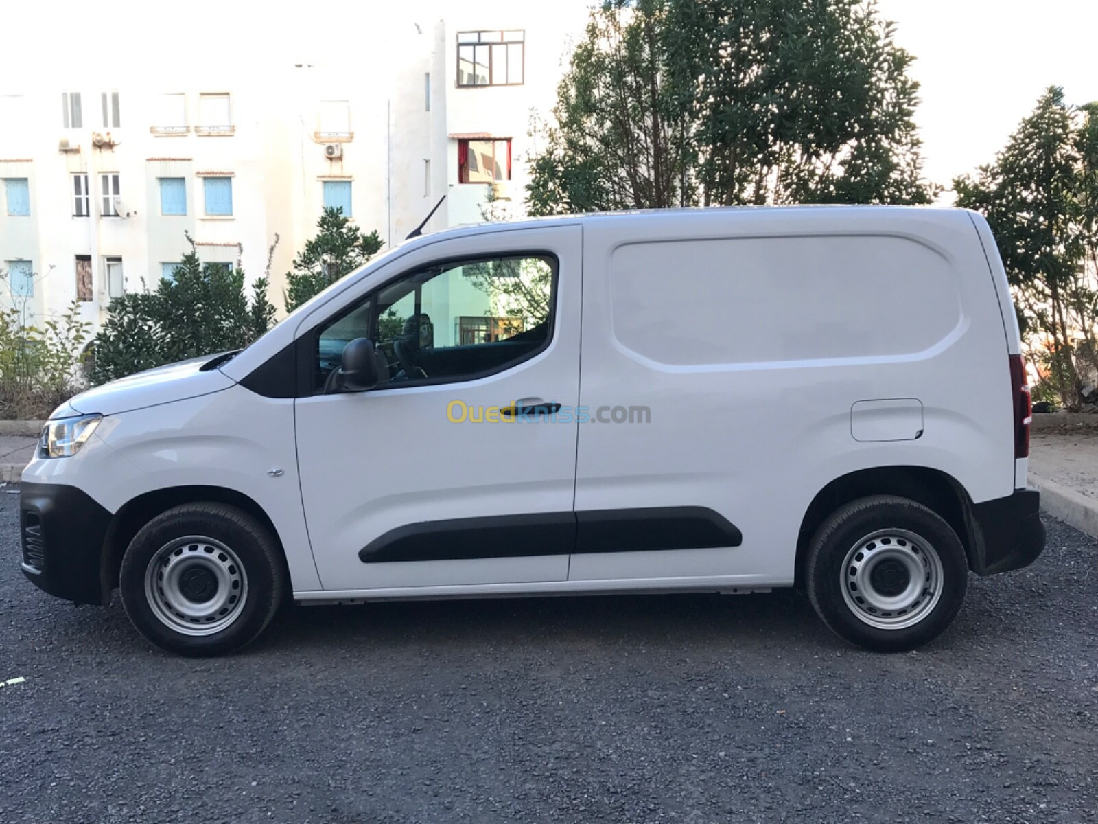 Fiat Doblo 2024 Professionnel Dz