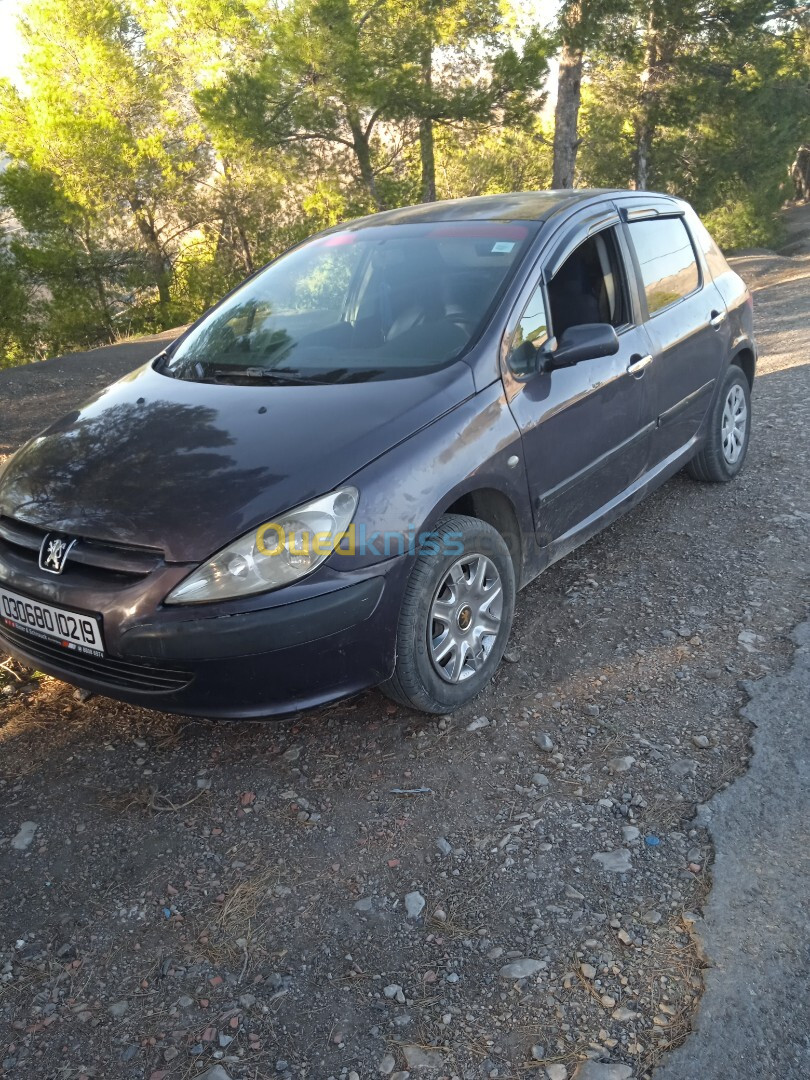 Peugeot 307 2002 307