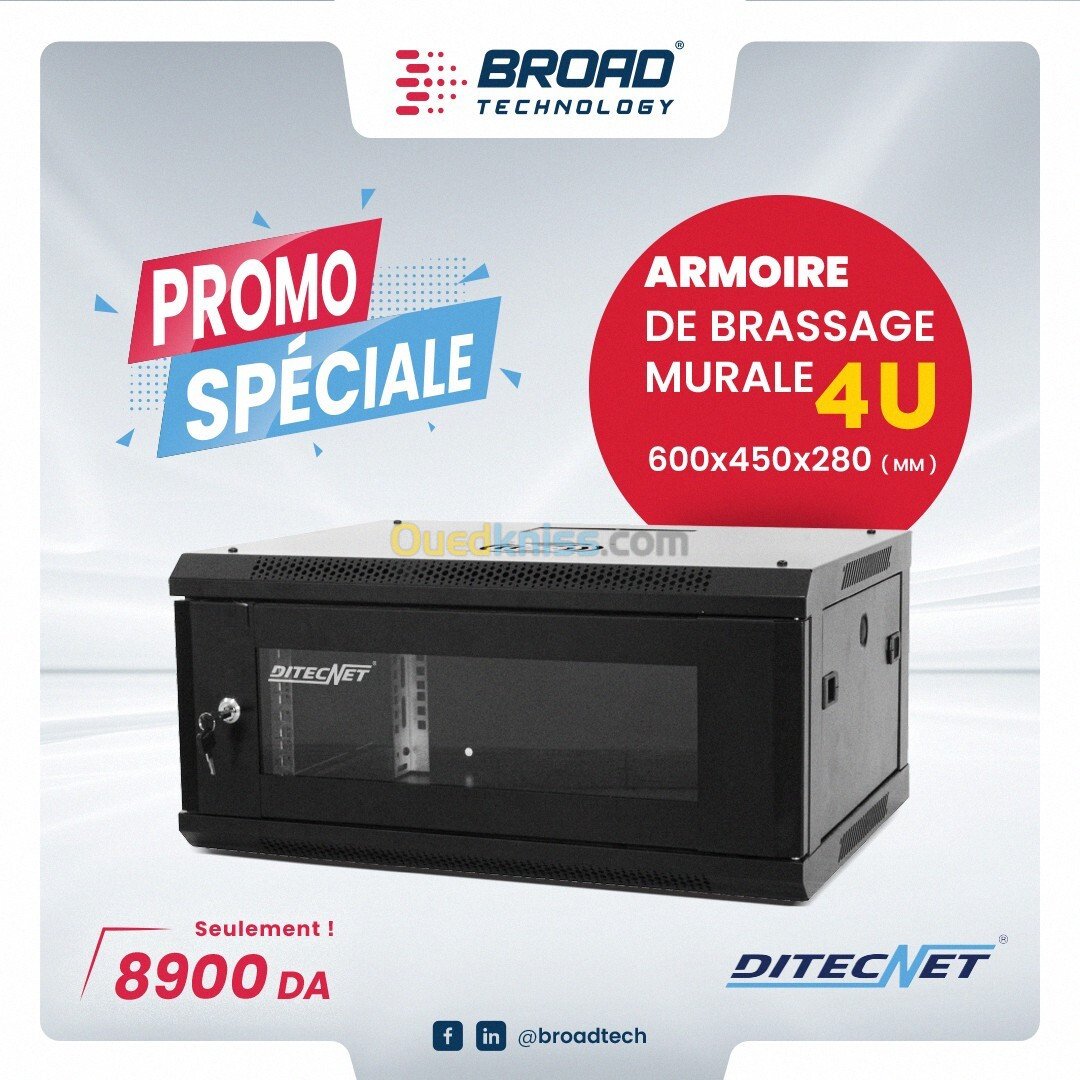 Armoire de brassage Murale 4U DITECNET 