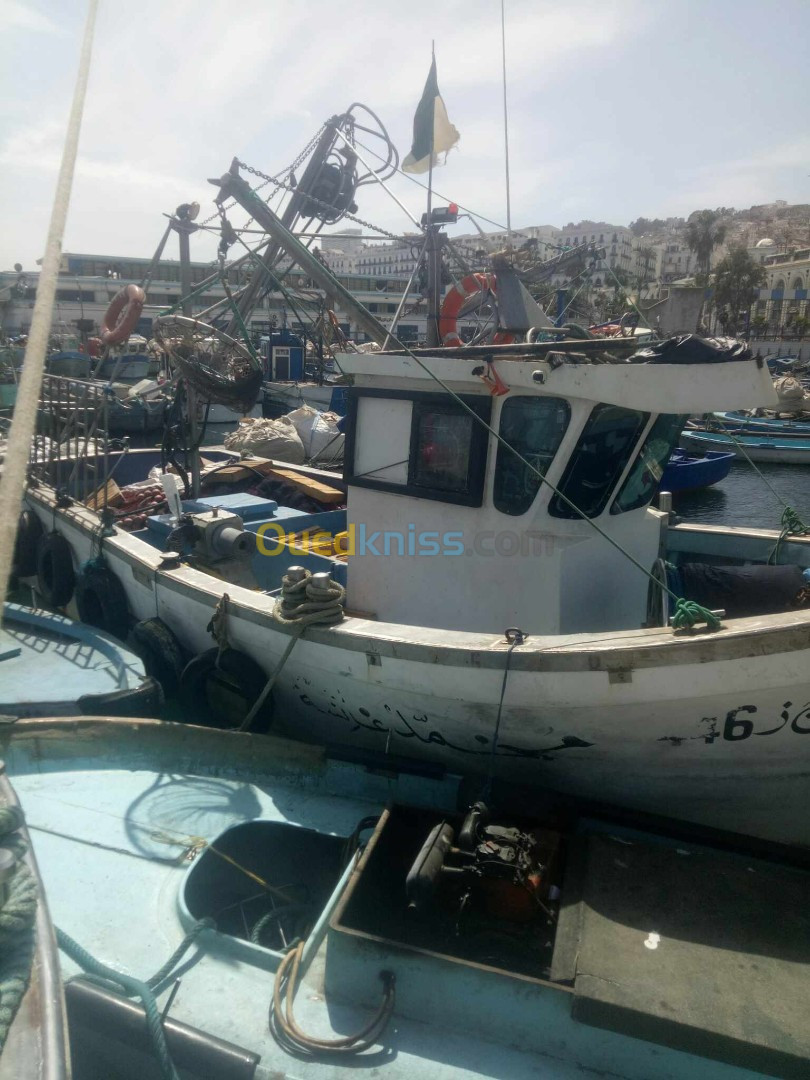 sardinier bateau de peche 2023