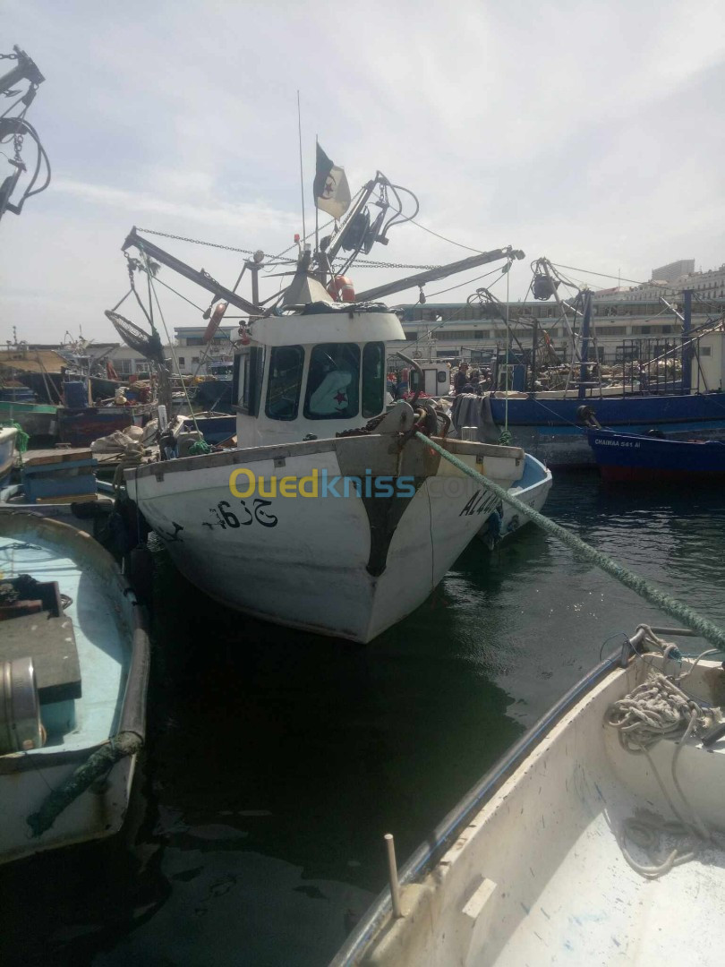 sardinier bateau de peche 2023