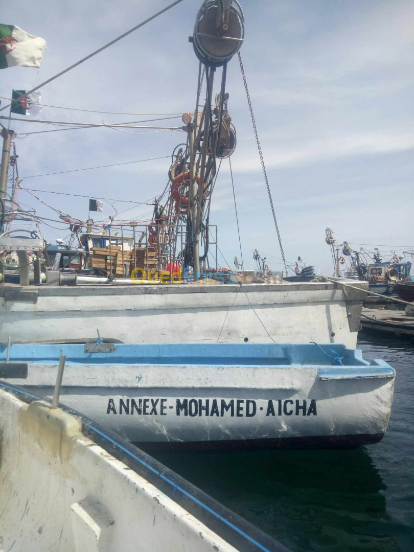 sardinier bateau de peche 2023