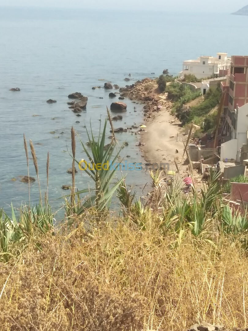 Vente Terrain Tipaza Larhat