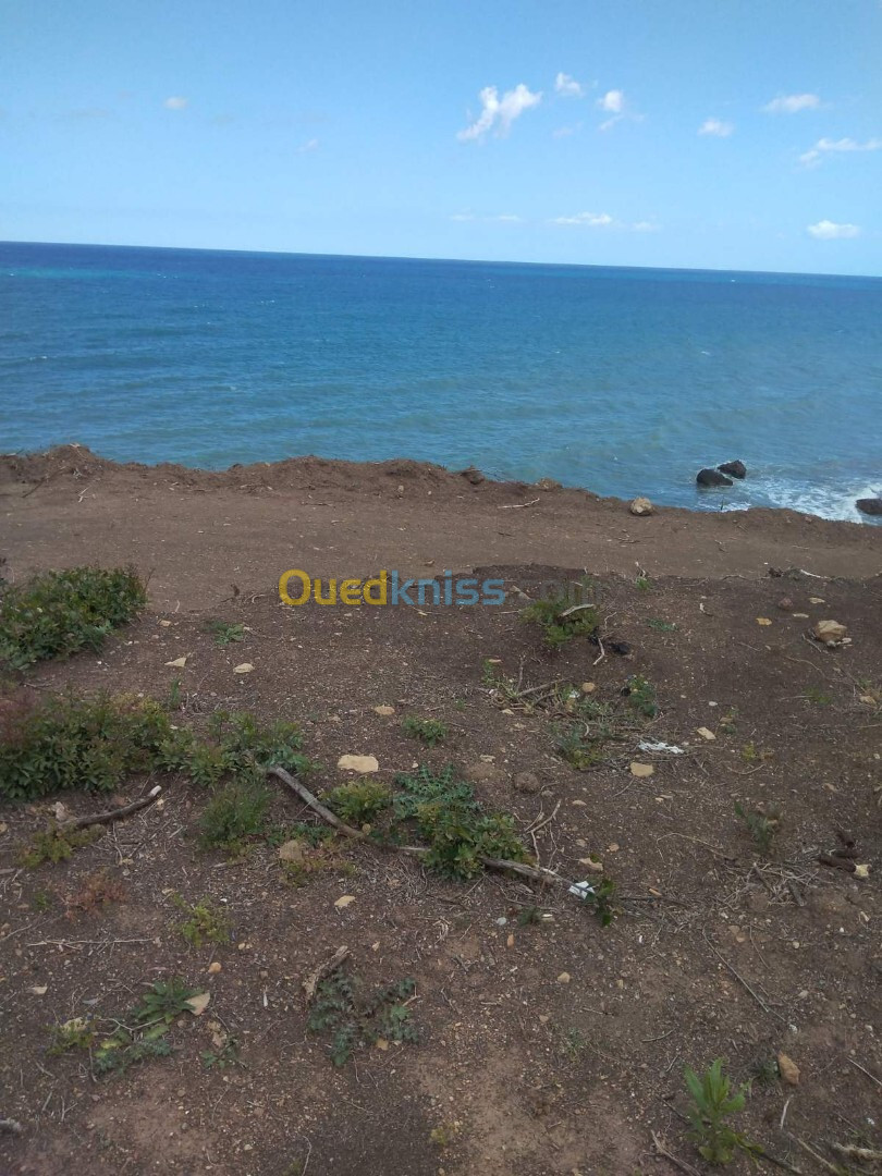 Vente Terrain Tipaza Larhat