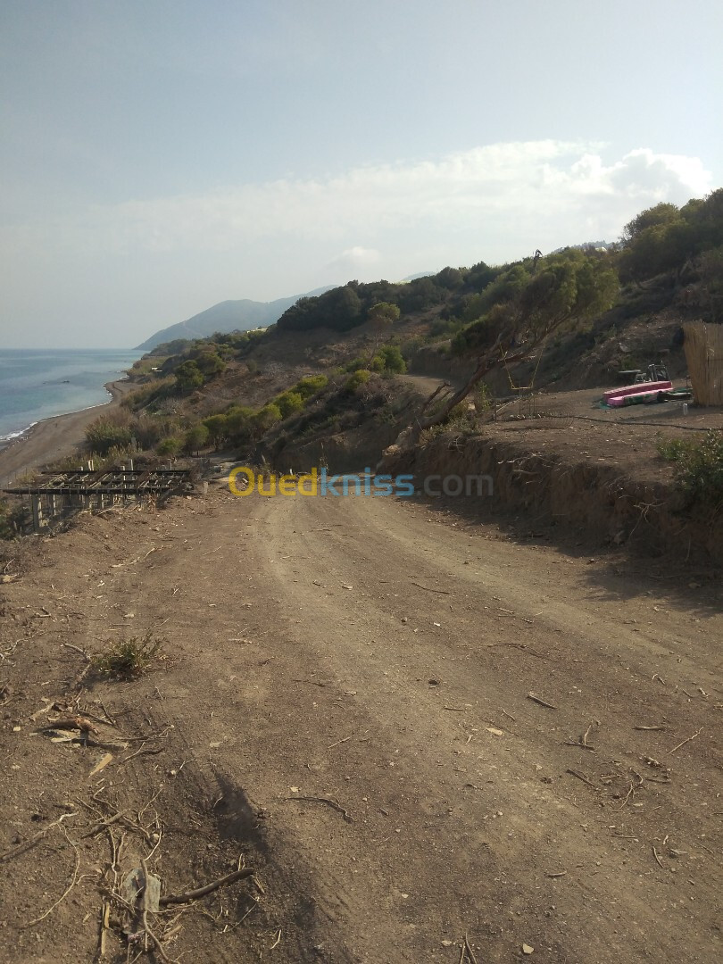 Vente Terrain Tipaza Larhat