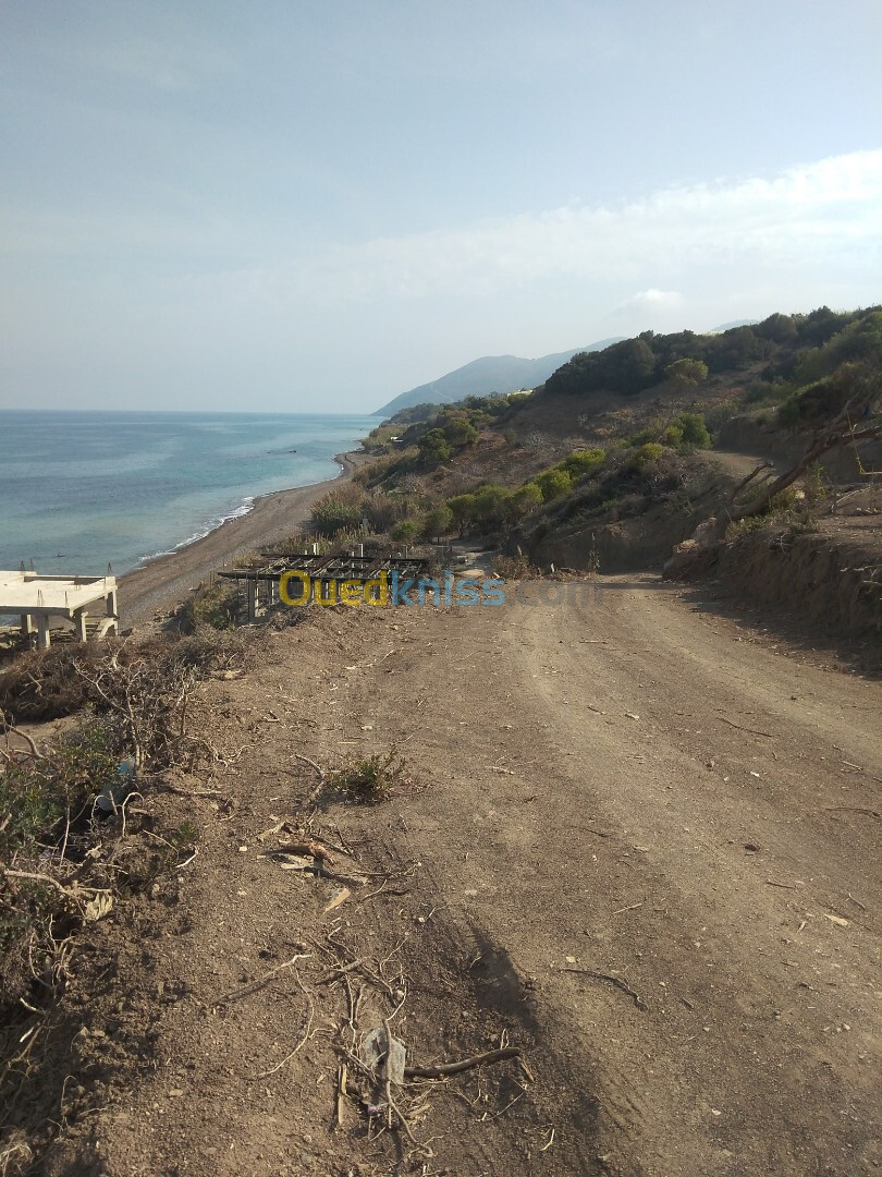 Vente Terrain Tipaza Larhat