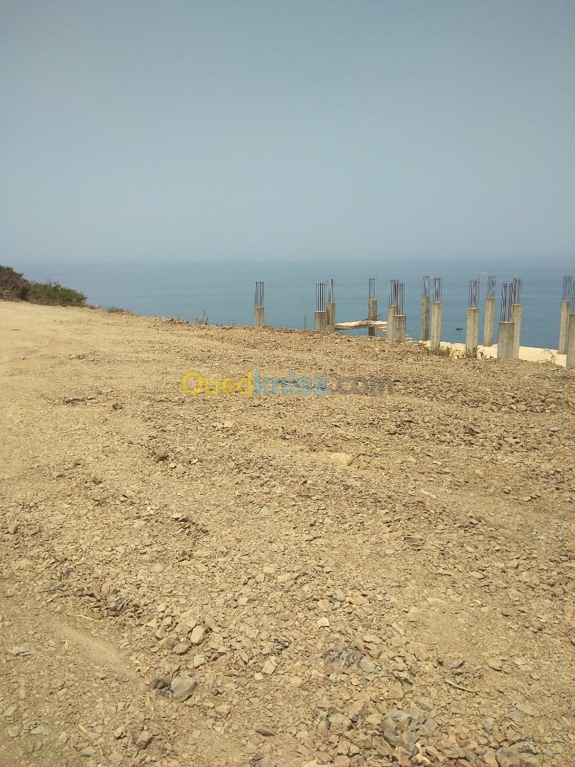 Vente Terrain Tipaza Larhat