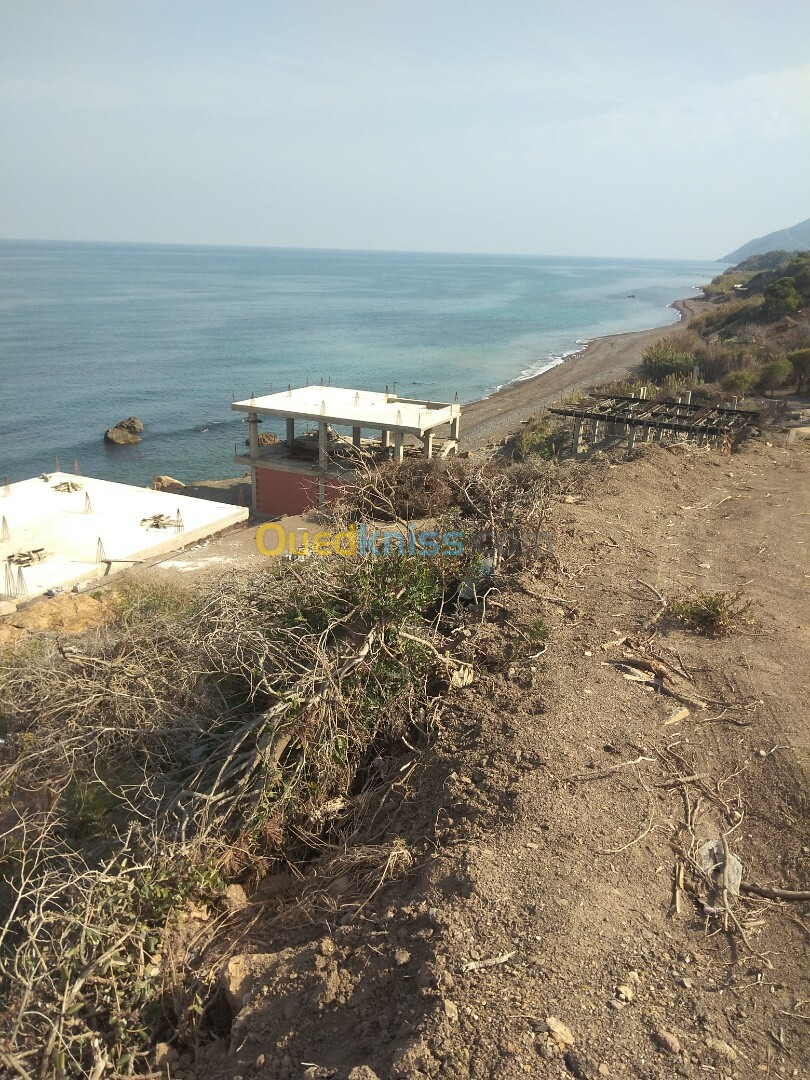 Vente Terrain Tipaza Larhat