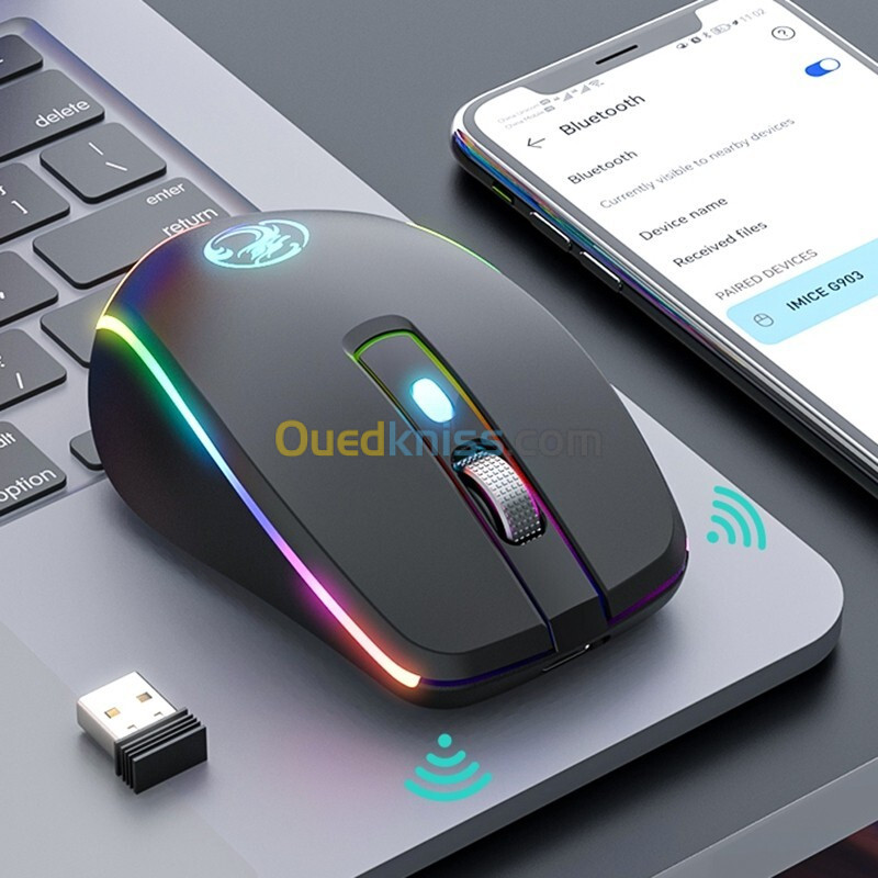 Souris Sans Fil Rechargeable USB Type-C RGB Silencieuse à 6 touches 2.4G