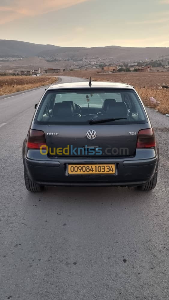 Volkswagen Golf 4 2003 Matche