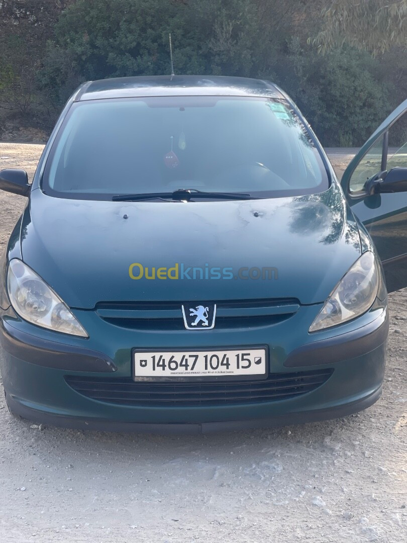 Peugeot 307 2004 307