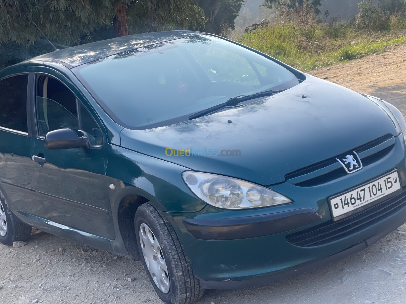 Peugeot 307 2004 307