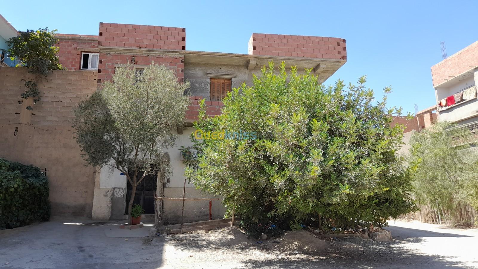 Vente bien immobilier Batna Ain touta