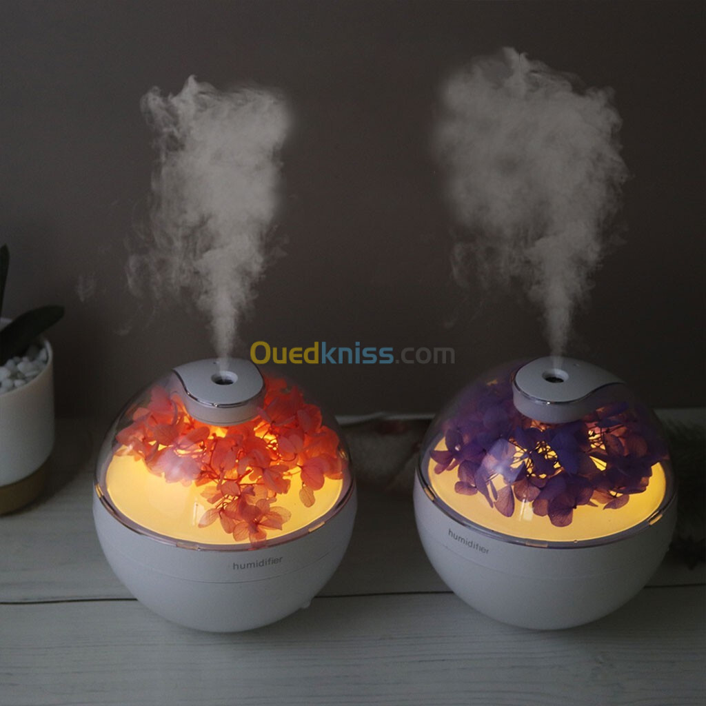 Humidificateur USB d'aromathérapie silencieux de grande capacité