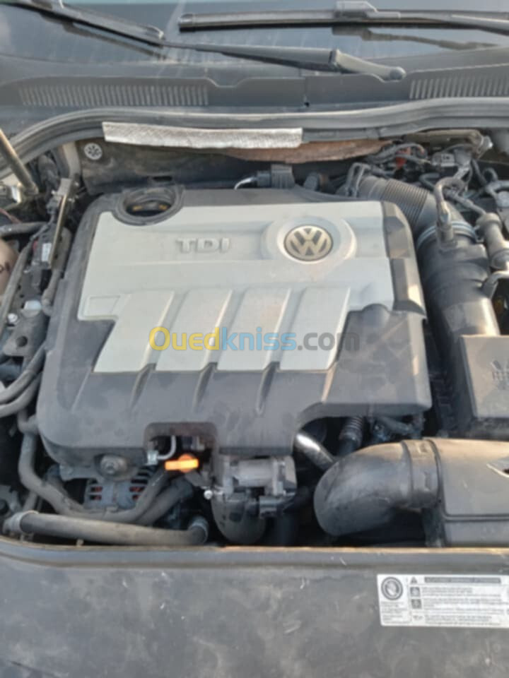 Volkswagen Passat CC 2011 Passat CC