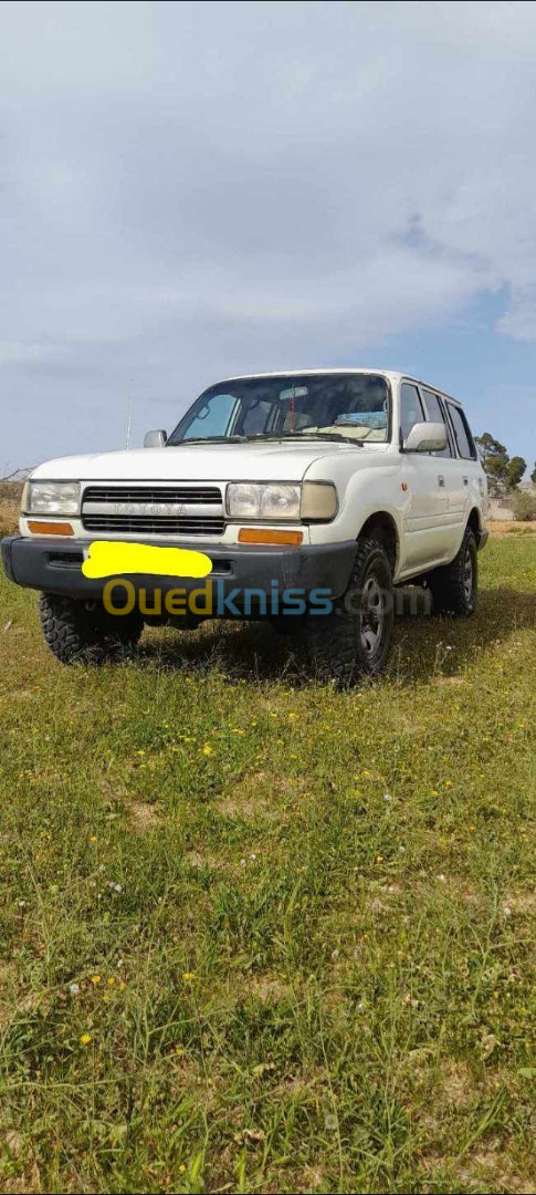 Toyota Land Cruiser 2003 Land Cruiser