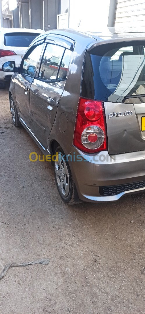 Kia Picanto 2011 Fanny