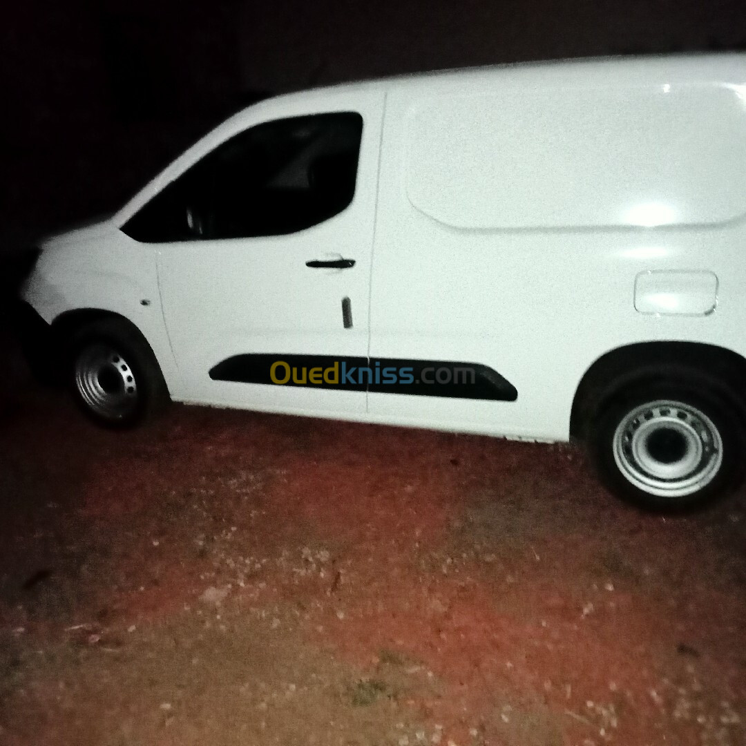 Fiat Doblo 2024 Professional