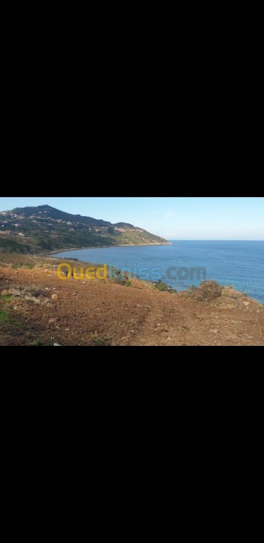 Vente Terrain Tizi Ouzou Azeffoun