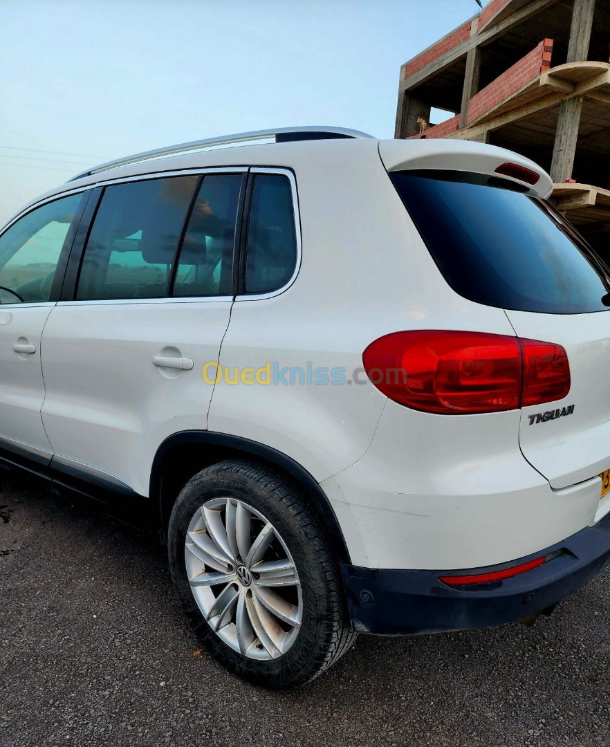 Volkswagen Tiguan 2011 Carat +