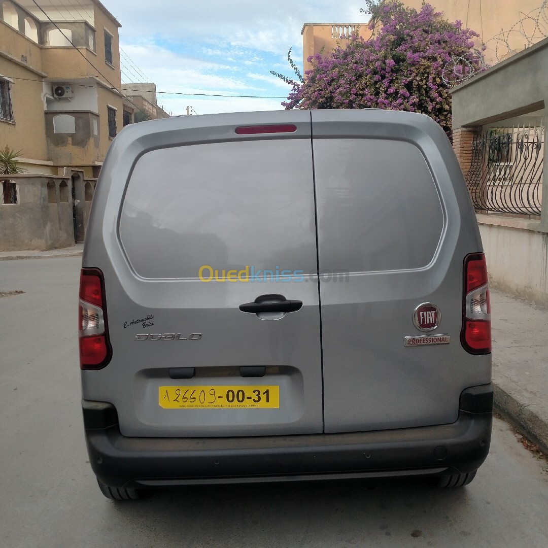 Fiat Professional Doblo 2024 Doblo