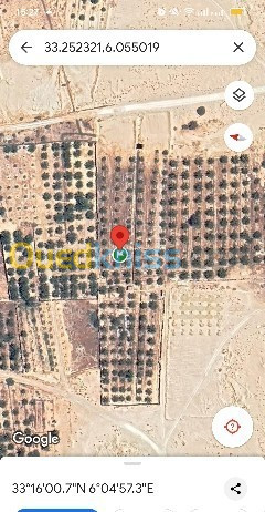 Vente Terrain Agricole Touggourt Sidi Slimane