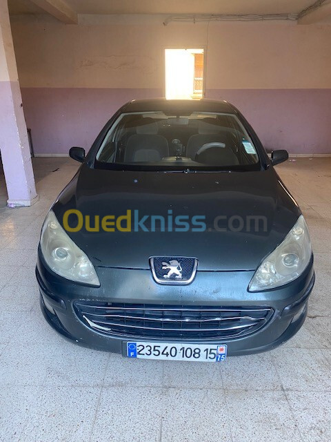 Peugeot 407 2008 407