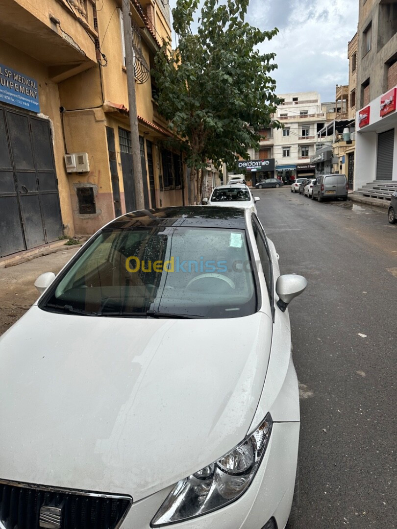 Seat Ibiza 2011 Loca