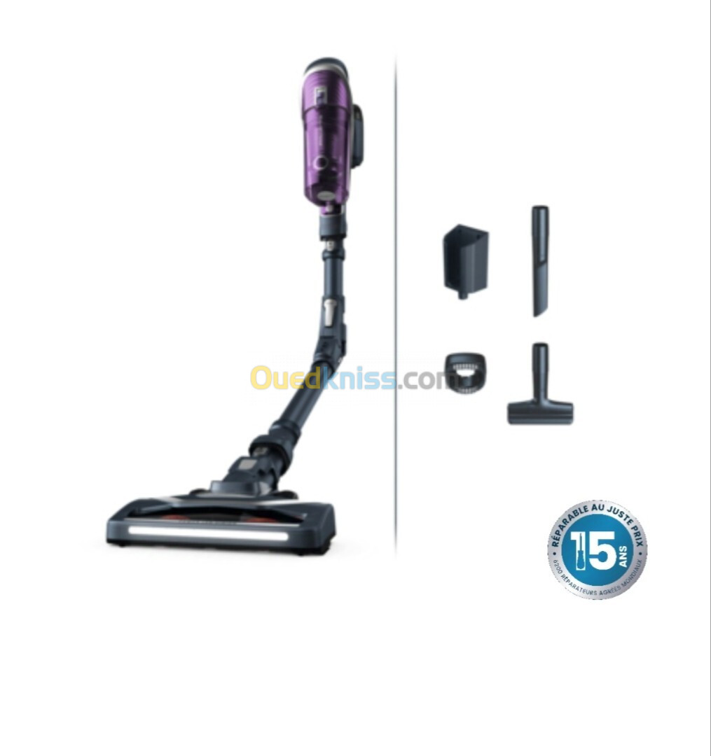 Aspirateur Balai Rowenta X-Force Flex 8.60 RH9638WO