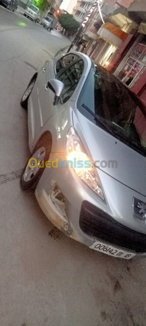 Peugeot 207 2011 Alur