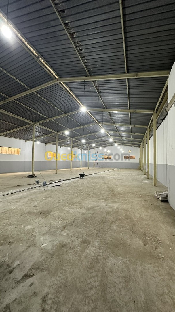 Location Hangar Alger Cheraga