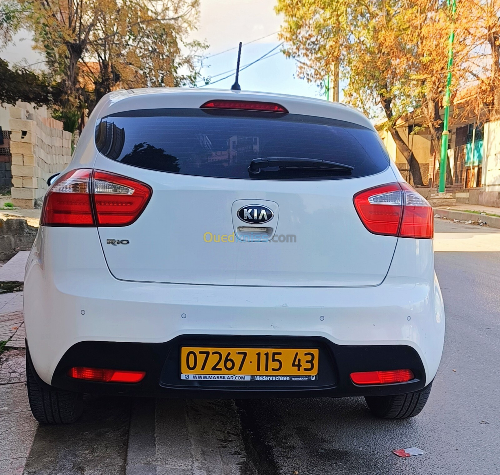 Kia Rio 5 portes 2015 Funny