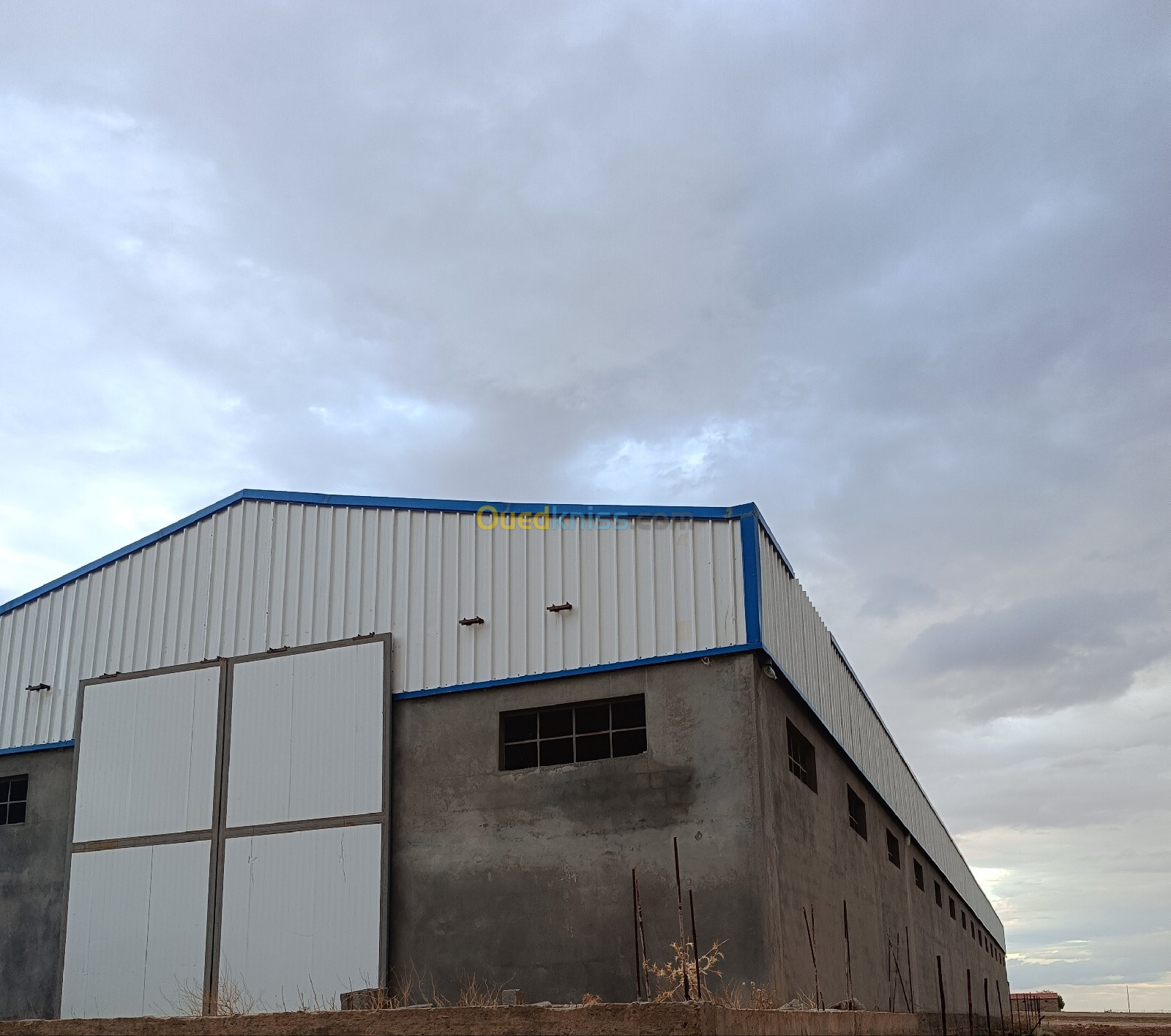 Location Hangar Sétif Guidjel