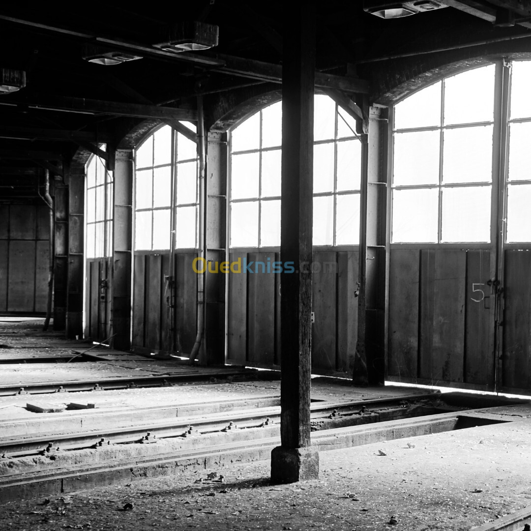 Location Hangar Oran El Kerma