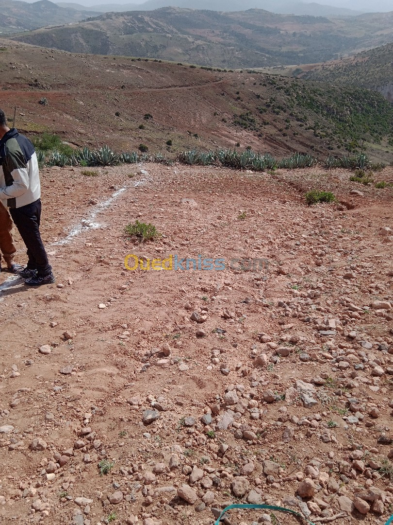 Vente Terrain Aïn Témouchent Oulhaca el gheraba