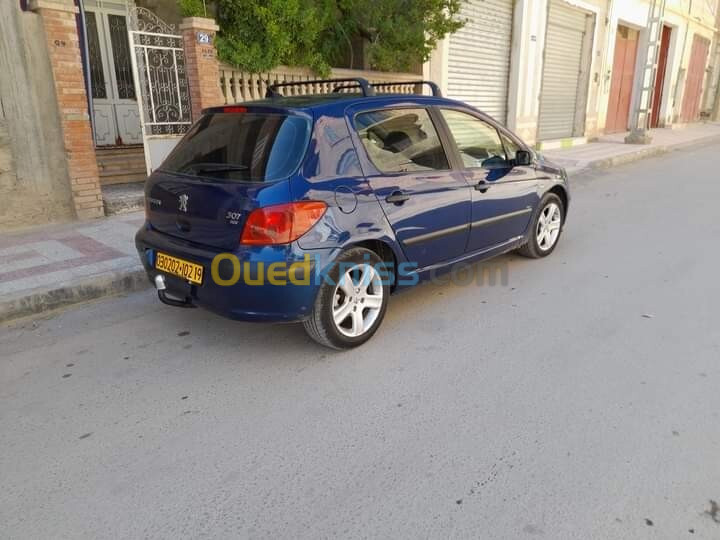 Peugeot 307 2002 307