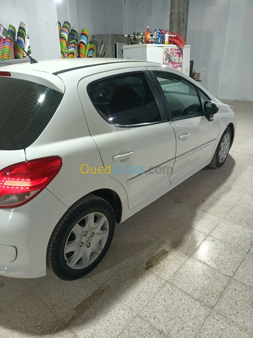 Peugeot 207 2012 Fennec