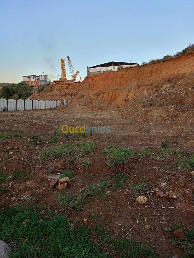 Vente Terrain Boumerdès Tidjelabine