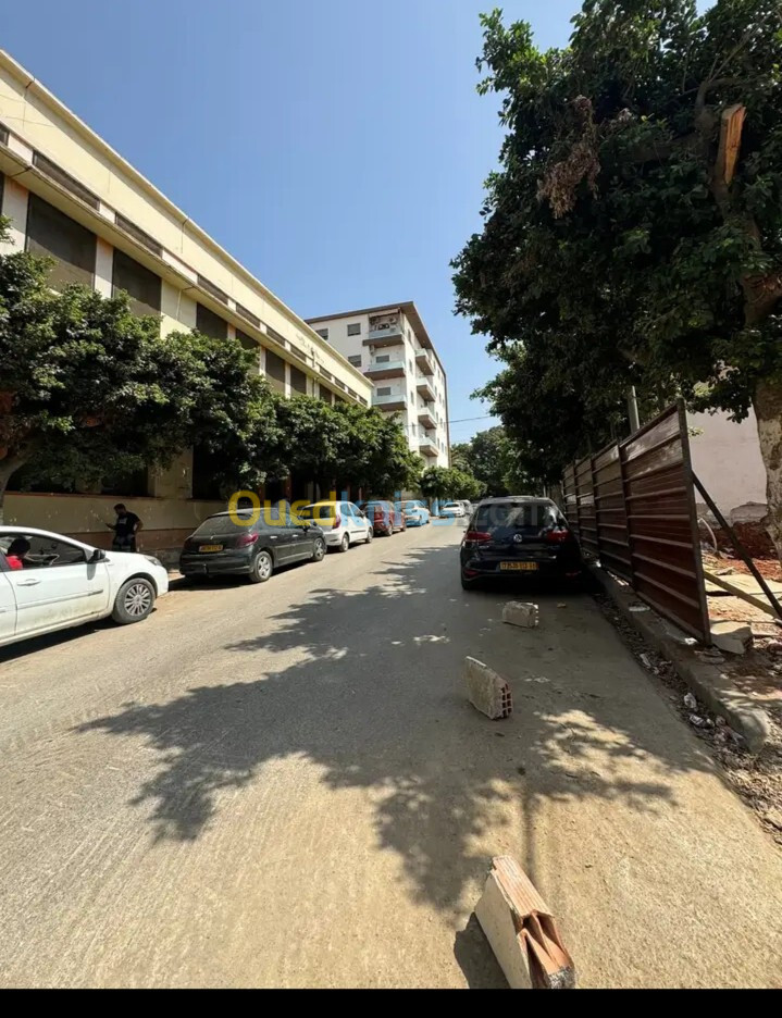 Vente Appartement Alger El harrach