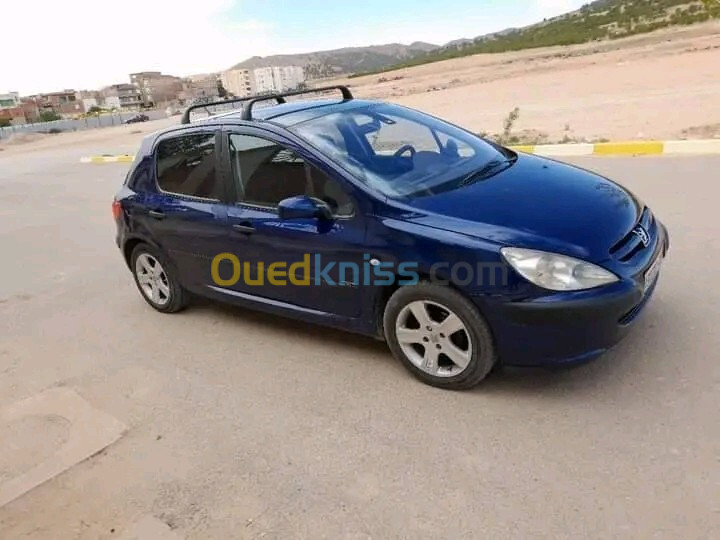 Peugeot 307 2002 307