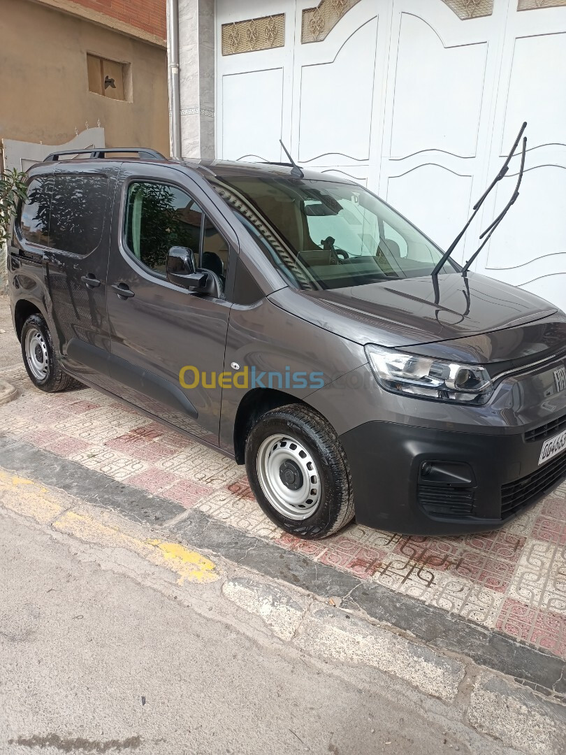 Fiat Professional Doblo 2024 2024