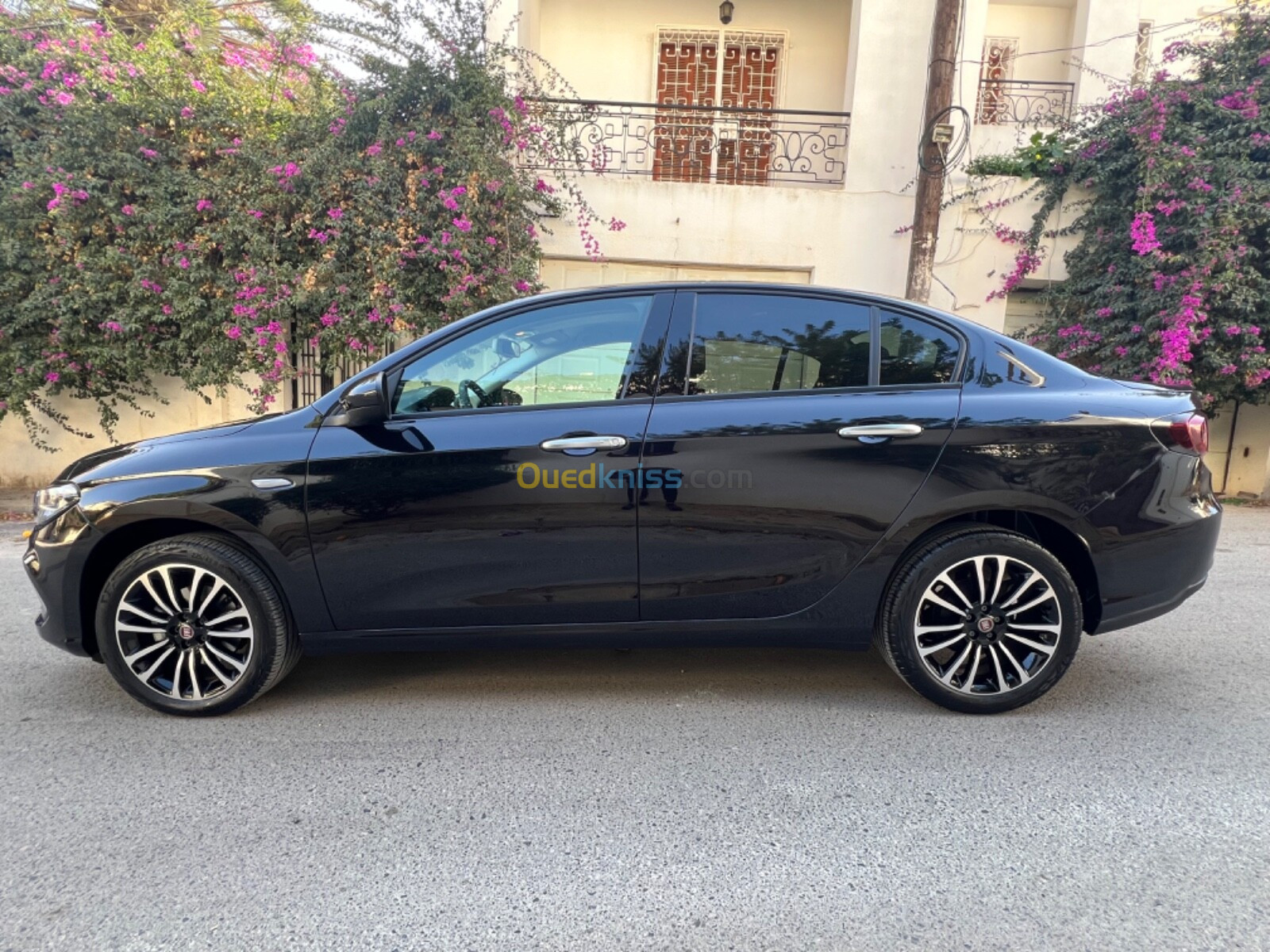 Fiat Tipo 2024 Life