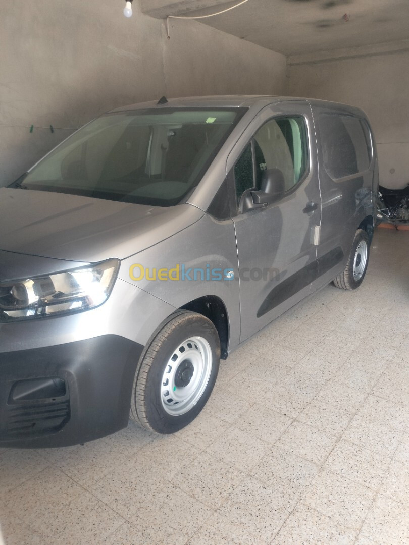 Fiat Doblo 2024 Professionnel