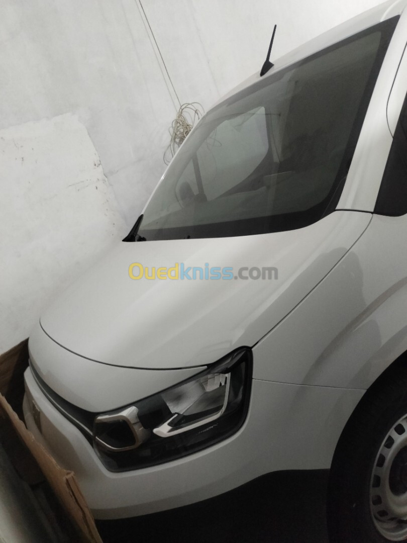 Fiat Doblo 2024 Professionnel