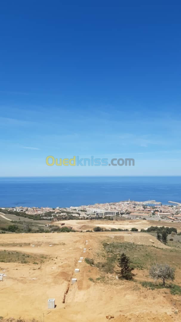 Vente Terrain Tipaza Cherchell